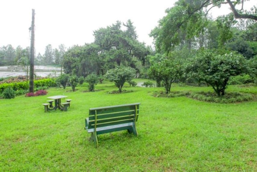 Ama Plantation Trails-3